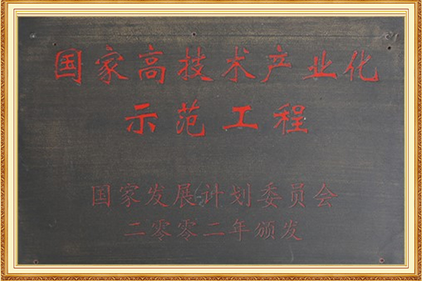 国家高技术产业化示范工程2002年